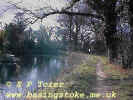 The Basingstoke Canal (41174 bytes)